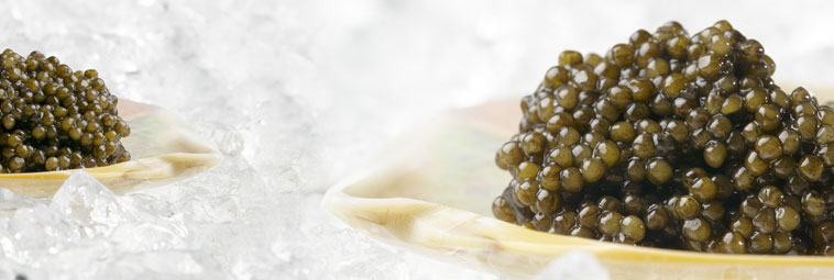 Kaviar | Caspian Caviar